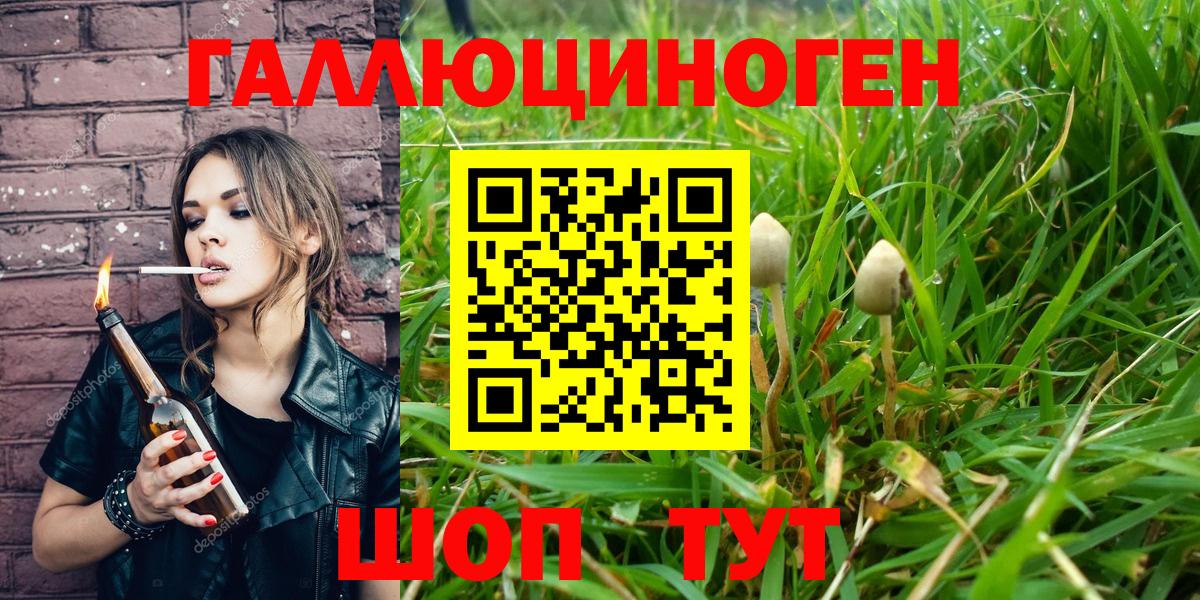 Галлюциногенные грибы GOLDEN TEACHER  Галлюциногенные грибы Cubensis  Наро-Фоминск  Вход с VPN 